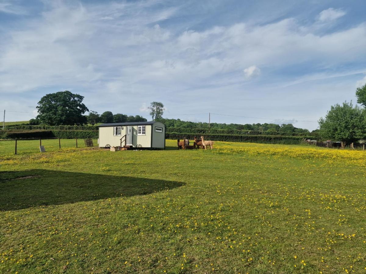 Cwtch Glamping Shepherds Huts Abergavenny Exterior photo