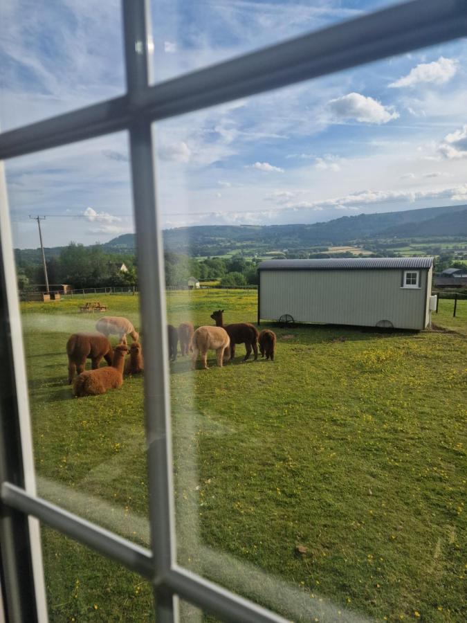 Cwtch Glamping Shepherds Huts Abergavenny Exterior photo
