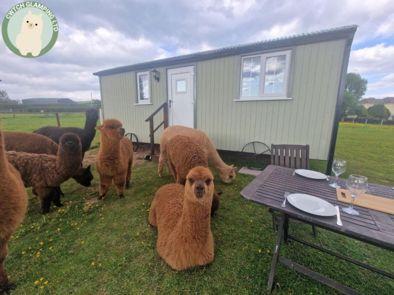 Cwtch Glamping Shepherds Huts Abergavenny Exterior photo
